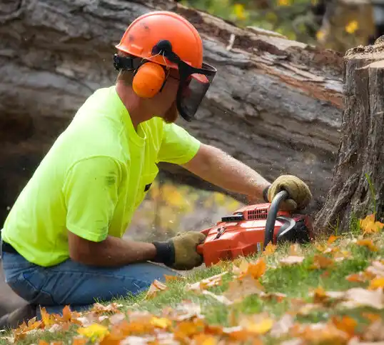 tree services St. Rose